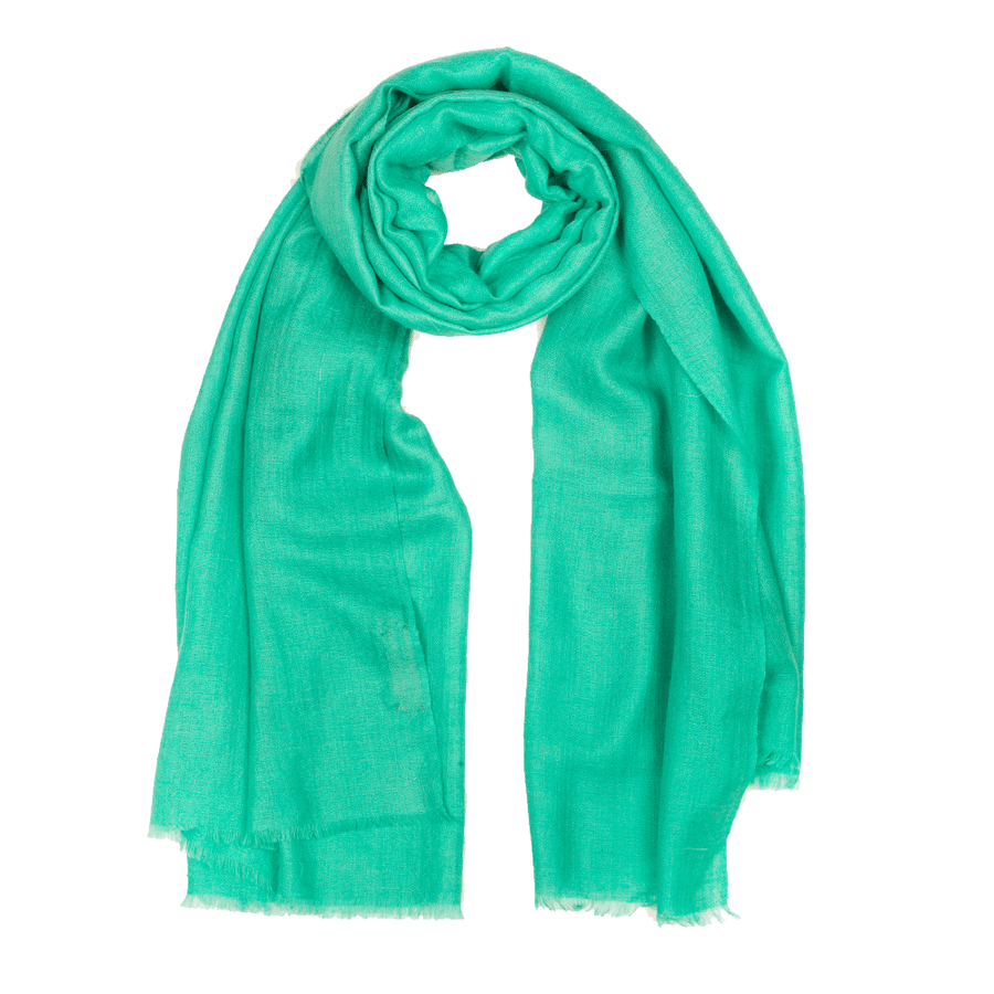 Plain Pashmina Stole - Arcadia