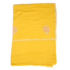 Embroidered Pashmina Stole - Celery Green & Light Blue