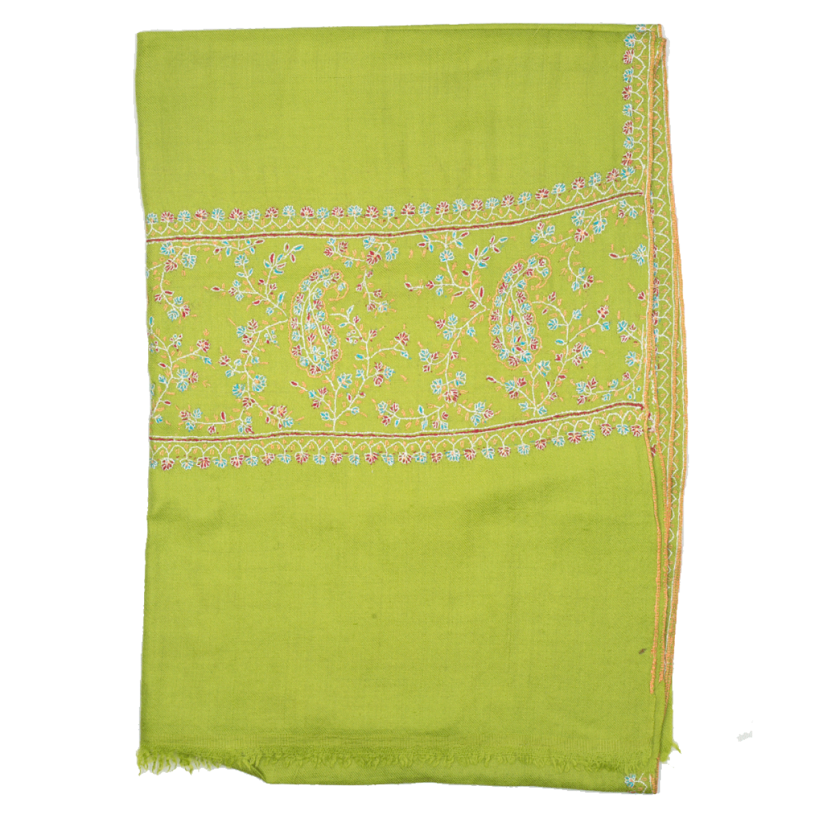 Embroidered Pashmina Stole - Lime Green & Blue