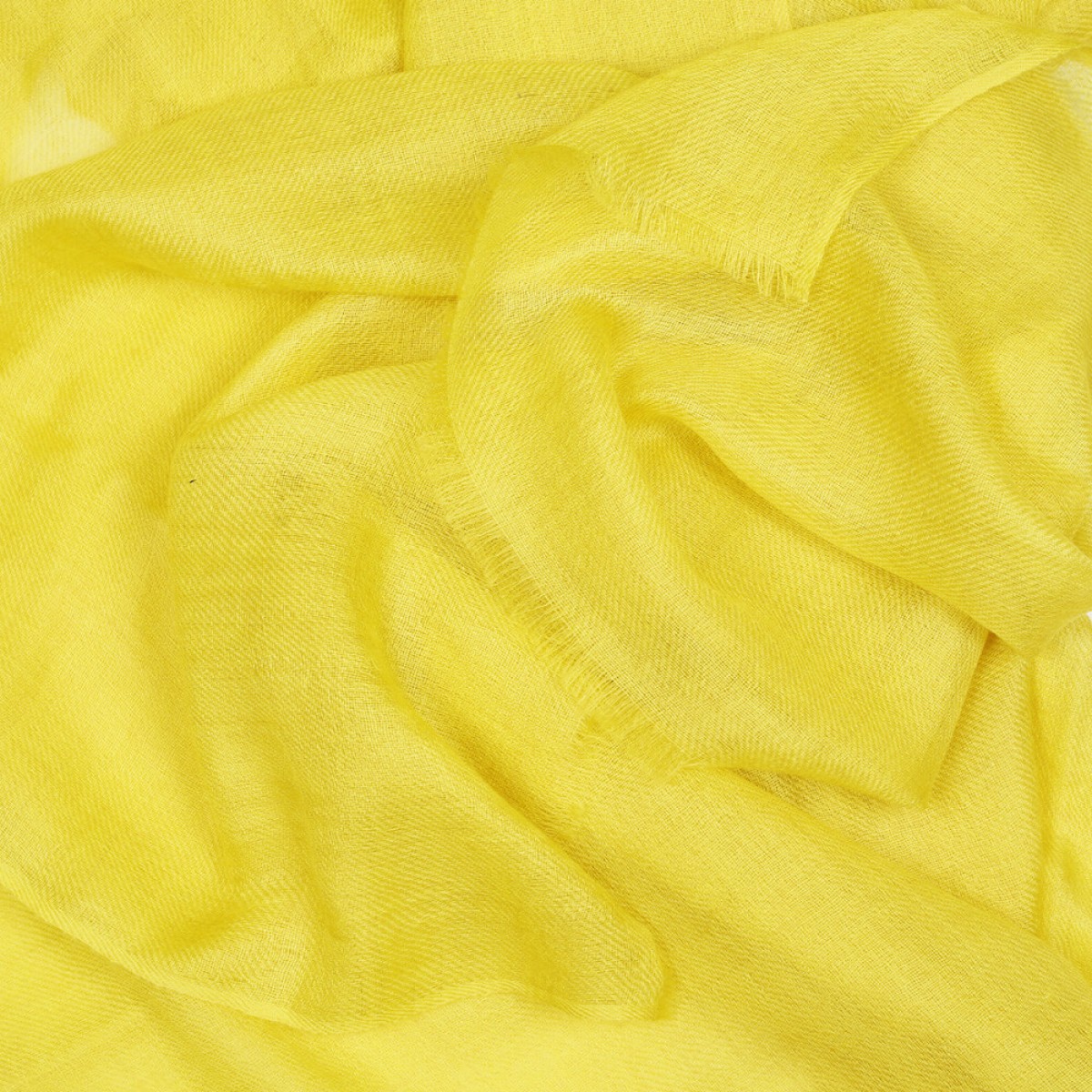 Sheer Pashmina Stole - Sleeping Lotus Yellow